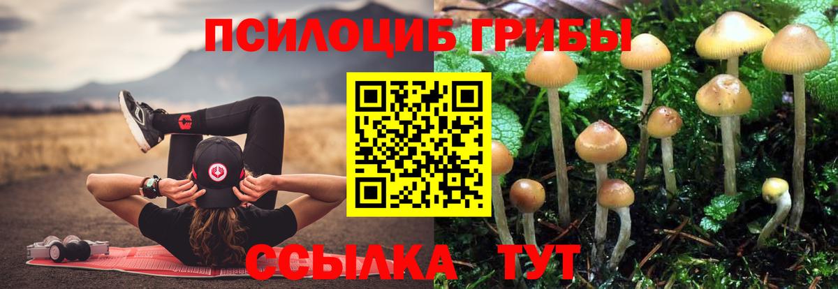 Галлюциногенные грибы GOLDEN TEACHER  Вход с VPN  Кириши 